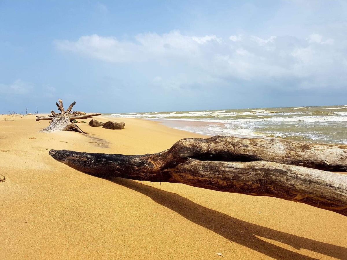 Sun Wind Beach Kalpitiya Kite Resort Bagian luar foto