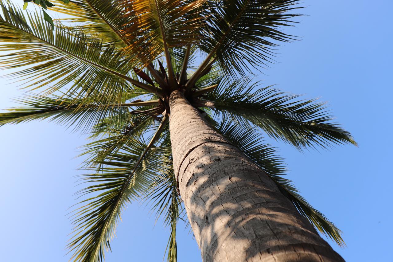 Sun Wind Beach Kalpitiya Kite Resort Bagian luar foto